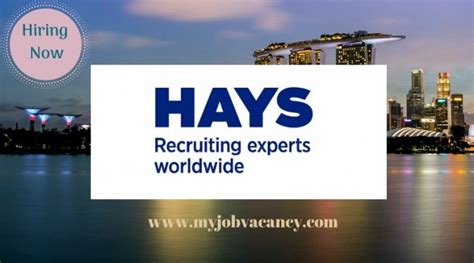 phil jobs|hays jobs.